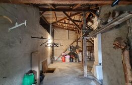 Duplex 163 mp, 250 mp teren, Andrei Muresanu