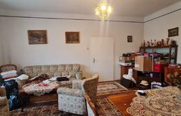 Duplex 163 mp, 250 mp teren, Andrei Muresanu