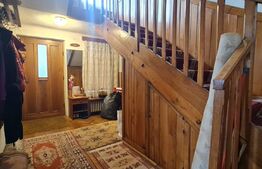 Duplex 163 mp, 250 mp teren, Andrei Muresanu