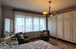 Duplex 163 mp, 250 mp teren, Andrei Muresanu