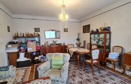 Duplex 163 mp, 250 mp teren, Andrei Muresanu