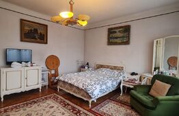 Duplex 163 mp, 250 mp teren, Andrei Muresanu