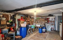 Duplex 163 mp, 250 mp teren, Andrei Muresanu