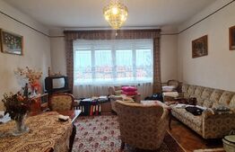 Duplex 163 mp, 250 mp teren, Andrei Muresanu