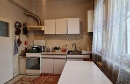 Duplex 163 mp, 250 mp teren, Andrei Muresanu