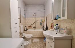 Duplex 163 mp, 250 mp teren, Andrei Muresanu