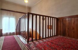 Duplex 163 mp, 250 mp teren, Andrei Muresanu