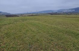 Teren extravilan, 500 mp, langa centura Nord Donath