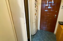 Apartament 2 camere, mobilat si ultilat, zona Primaverii 