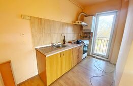 Apartament 2 camere, 53 mp, balcon, etaj intermediar, zona Piata IRA 