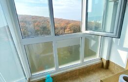 Garsoniera 32 mp, balcon, zona Parang