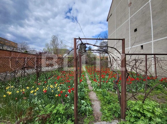 Casa de închiriat 4 camere Marasti - 101541CI | BLITZ Cluj-Napoca | Poza8