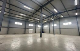 Hala finisata de vanzare pretabila pentru depozitare ! 