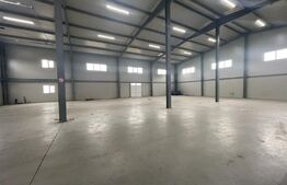 Hala finisata de vanzare pretabila pentru depozitare ! 