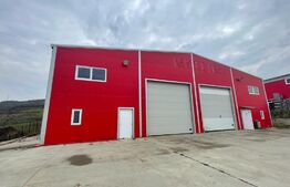 Hala finisata de vanzare pretabila pentru depozitare ! 