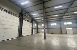 Hala finisata de vanzare pretabila pentru depozitare ! 