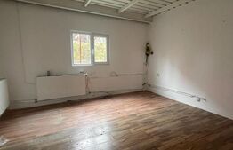 Hala finisata de vanzare pretabila pentru depozitare ! 