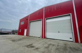 Hala finisata de vanzare pretabila pentru depozitare ! 