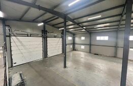 Hala finisata de vanzare pretabila pentru depozitare ! 