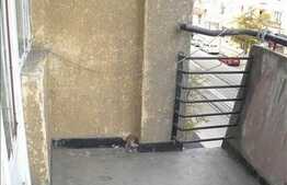 Inchiriere 2 camere, 48 mp, etaj intermediar, zona strazii Horea! Pret oportun!