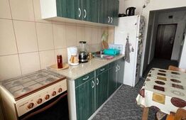Apartament 2 camere, decomandat, pet-friendly, zona Interservisan