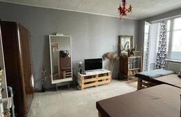 Apartament 2 camere, decomandat, pet-friendly, zona Interservisan
