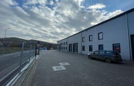 Spatiu industrial NOU, vad superb, ideal showroom, Apahida