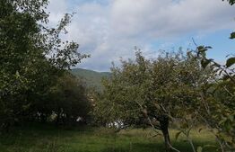 Teren intravilan, 1000 mp, Masca, comuna Iara