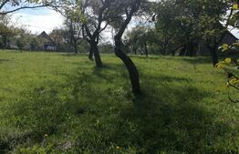 Teren intravilan, 1000 mp, Masca, comuna Iara