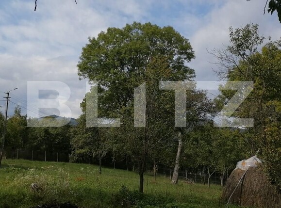 Teren de vânzare Exterior Sud - 101744TV | BLITZ Cluj-Napoca | Poza3