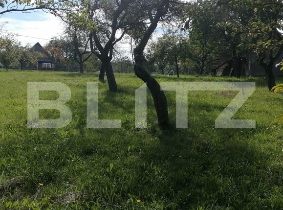 Teren de vânzare Exterior Sud - 101744TV | BLITZ Cluj-Napoca | Poza2