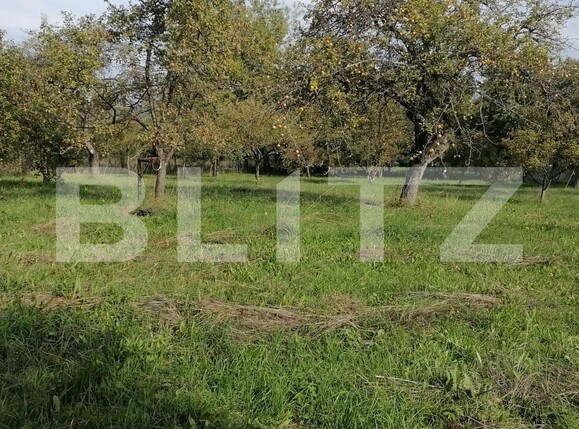 Teren de vânzare Exterior Sud - 101744TV | BLITZ Cluj-Napoca | Poza1