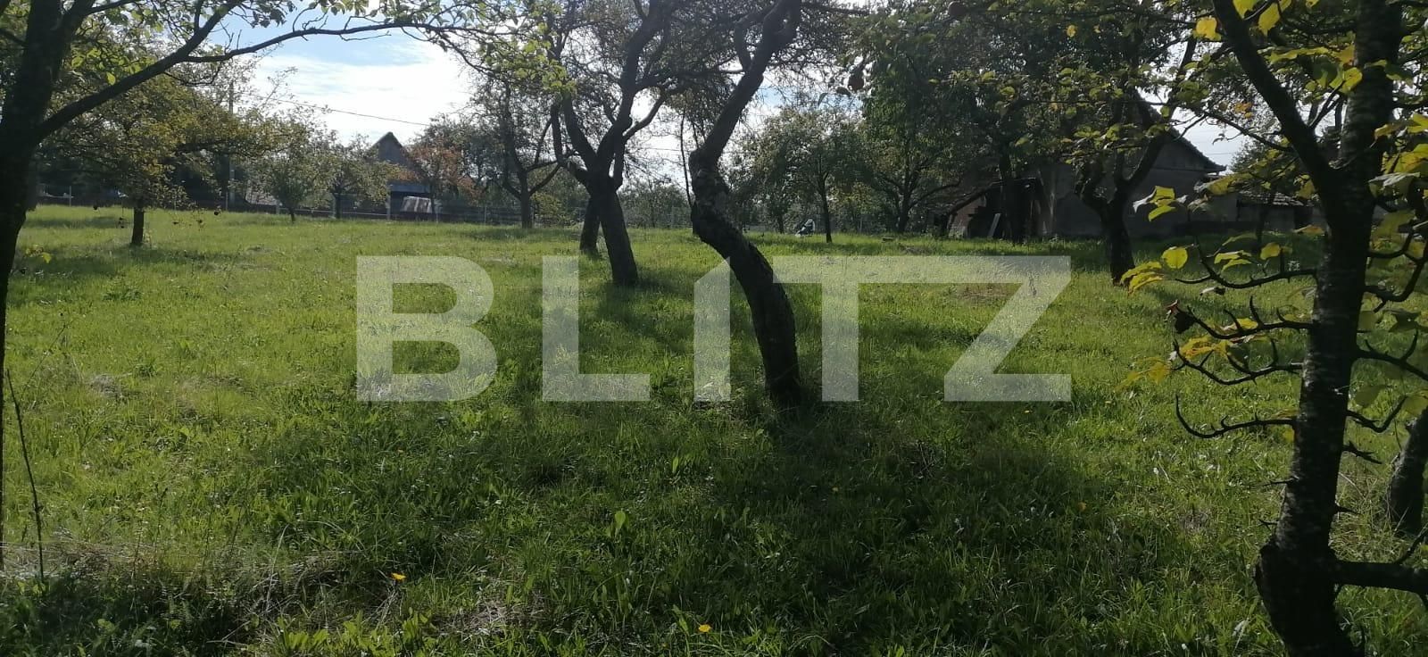 Teren de vânzare Exterior Sud - 101744TV | BLITZ Cluj-Napoca | Poza2