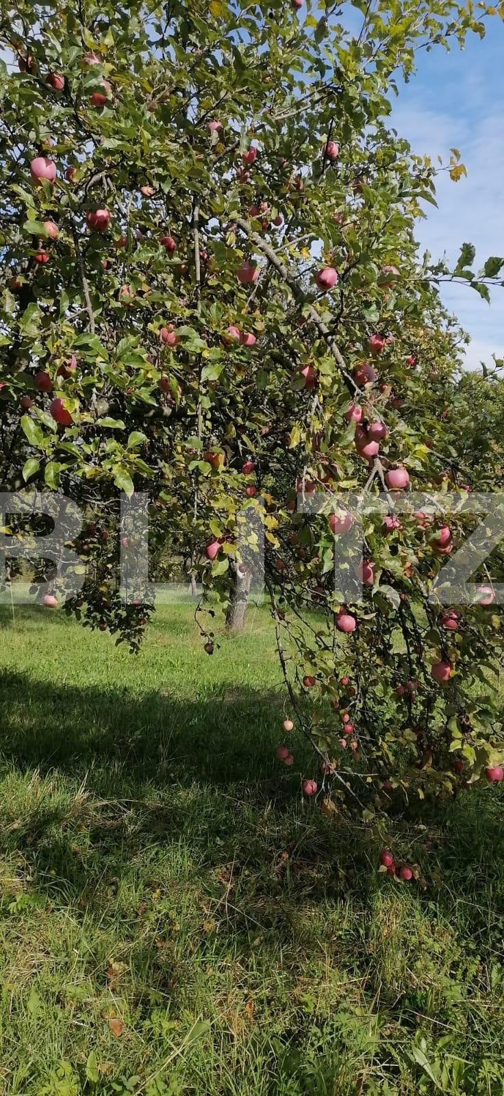 Teren de vânzare Exterior Sud - 101744TV | BLITZ Cluj-Napoca | Poza6