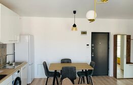 Apartament 2 camere mobilat, 38mp, parcare, zona Teilor