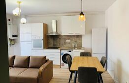 Apartament 2 camere mobilat, 38mp, parcare, zona Teilor