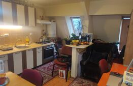 Apartament de 2 camere mobilat, luminos, parcare, zona Somesului