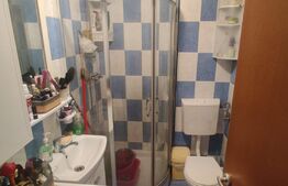 Apartament de 2 camere mobilat, luminos, parcare, zona Somesului