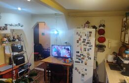 Apartament de 2 camere mobilat, luminos, parcare, zona Somesului