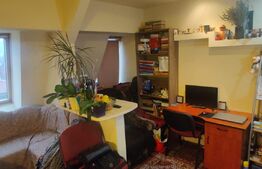 Apartament de 2 camere mobilat, luminos, parcare, zona Somesului