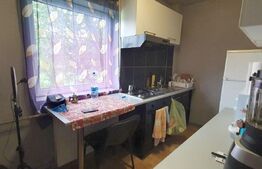 Garsoniera de 35 mp, mobilata, parcare, zona Muzeul Apei