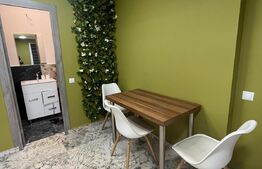 Garsoniera, 33 mp, terasa 40 mp, zona Grand Hotel Italia