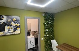 Garsoniera, 33 mp, terasa 40 mp, zona Grand Hotel Italia