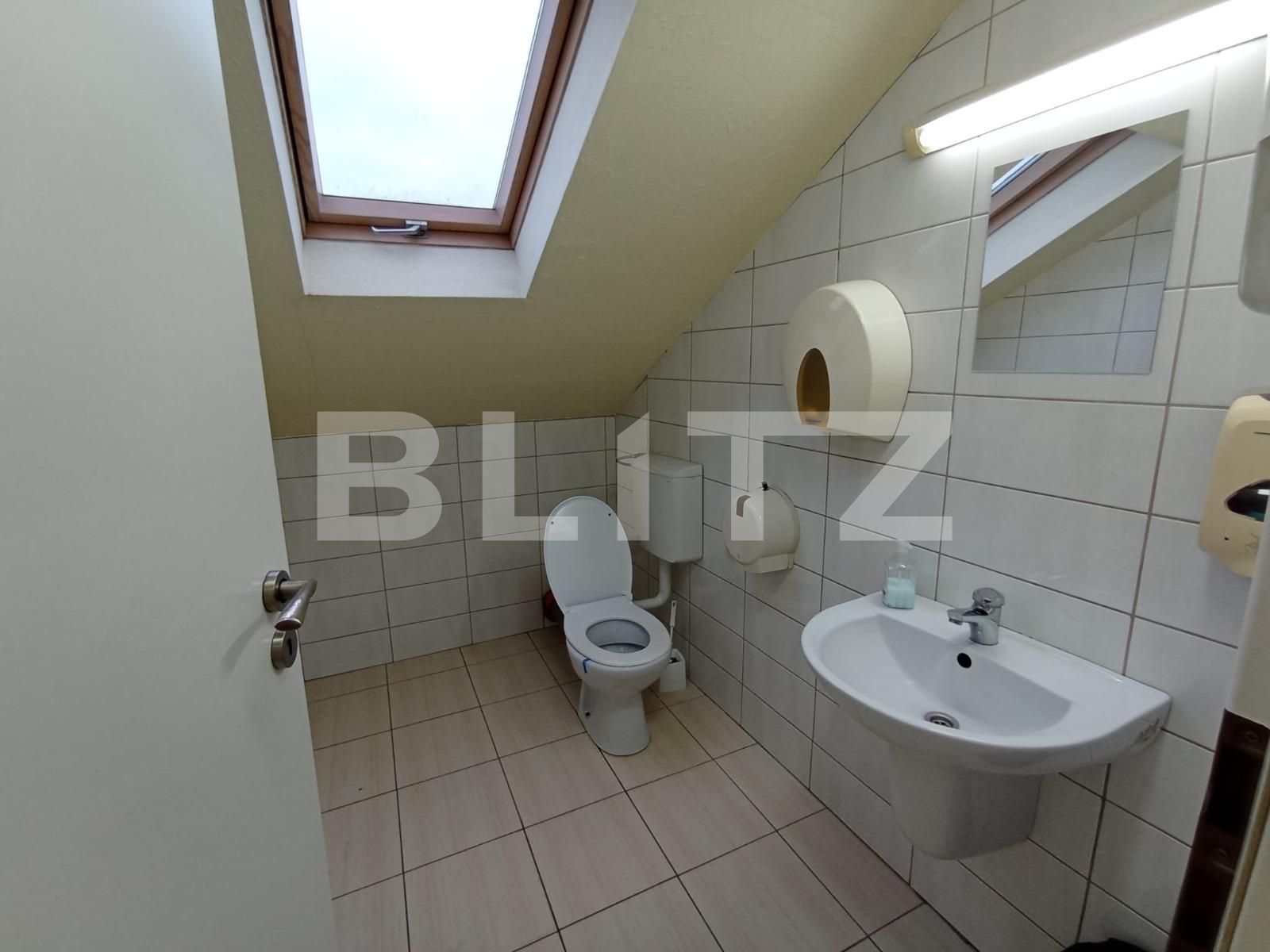 Spațiu birouri de închiriat Bună Ziua - 101992SIB | BLITZ Cluj-Napoca | Poza8