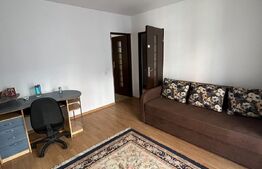 Garsoniera decomandata, 35 mp, zona strazii Plevnei