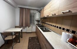 Apartament cu o camera, 43mp, terasa 14mp, parcare, zona Vivo!