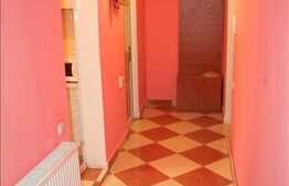 Vanzare apartament 1 camera, 34 mp utili, zona Pasteur, la demisol inalt