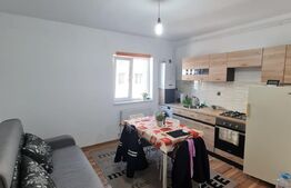 Apartament semidecomandat, 2 camere, balcon inchis, etaj intermediar, zona Stejarului