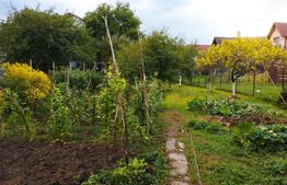 Teren 700 mp construibil imediat, pentru casa individuala sau duplex, Dambul Rotund, zona Corneliu Coposu