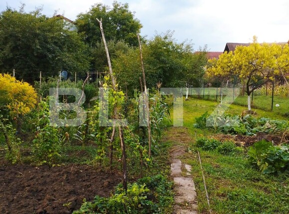 Teren de vânzare Dambul Rotund - 102101TV | BLITZ Cluj-Napoca | Poza2